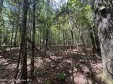  +/- 60 Acres Coosa County Rd 5 - Photo 23