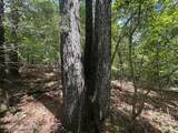  +/- 60 Acres Coosa County Rd 5 - Photo 24