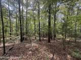  +/- 60 Acres Coosa County Rd 5 - Photo 29