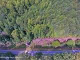  +/- 60 Acres Coosa County Rd 5 - Photo 43
