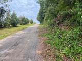  37 +/- Acres Beulah Lane - Photo 11