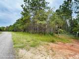 25+/-AC Little Weoka Creek Rd - Photo 4