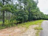 25+/-AC Little Weoka Creek Rd - Photo 5
