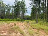 25+/-AC Little Weoka Creek Rd - Photo 6