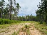 25+/-AC Little Weoka Creek Rd - Photo 7