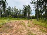 25+/-AC Little Weoka Creek Rd - Photo 9