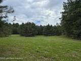 43+/-AC Cragford Rd - Photo 13