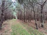 43+/-AC Cragford Rd - Photo 14