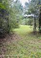 43+/-AC Cragford Rd - Photo 8