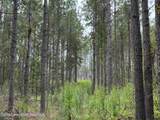 44+/- AC Cook Rd - Photo 7