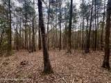 58 Long Point Rd - Photo 13