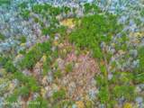  20 Acres Edgeview Dr - Photo 5