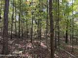 Lot 51 Long Leaf Terr - Photo 1