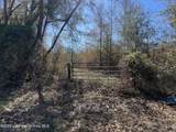 134+/-AC Fannie Bell Morton Rd - Photo 11