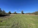134+/-AC Fannie Bell Morton Rd - Photo 12
