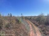 134+/-AC Fannie Bell Morton Rd - Photo 13