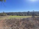 134+/-AC Fannie Bell Morton Rd - Photo 14