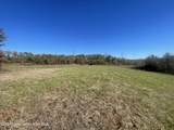 134+/-AC Fannie Bell Morton Rd - Photo 15