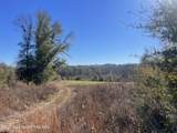 134+/-AC Fannie Bell Morton Rd - Photo 16