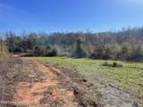 134+/-AC Fannie Bell Morton Rd - Photo 17