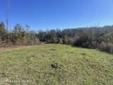 134+/-AC Fannie Bell Morton Rd - Photo 18