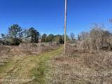 134+/-AC Fannie Bell Morton Rd - Photo 19