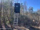 134+/-AC Fannie Bell Morton Rd - Photo 2