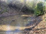 134+/-AC Fannie Bell Morton Rd - Photo 22