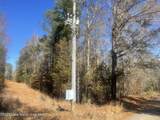 134+/-AC Fannie Bell Morton Rd - Photo 23