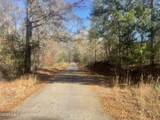 134+/-AC Fannie Bell Morton Rd - Photo 25