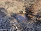 134+/-AC Fannie Bell Morton Rd - Photo 26