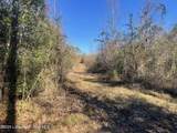 134+/-AC Fannie Bell Morton Rd - Photo 7