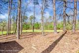 96 Laurelview Rd - Photo 9