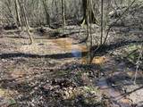  Alf Rd - Photo 9