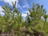 266.93+/- Ac Bond Rd - Photo 14