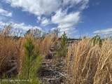 266.93+/- Ac Bond Rd - Photo 15