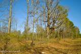 49 Hwy - Photo 2
