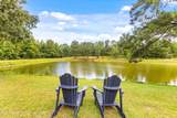 5489 Horseshoe Bend Rd - Photo 47