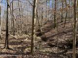  +/-12 Acres Greenwood Rd - Photo 3