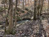  +/-12 Acres Greenwood Rd - Photo 4