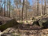  +/-12 Acres Greenwood Rd - Photo 5