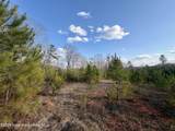 25 +/- Acres On Whaley Ferry Road - Photo 10