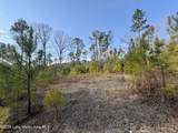 25 +/- Acres On Whaley Ferry Road - Photo 11