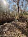25 +/- Acres On Whaley Ferry Road - Photo 17
