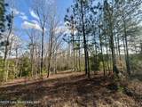 25 +/- Acres On Whaley Ferry Road - Photo 4