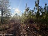 25 +/- Acres On Whaley Ferry Road - Photo 5