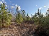 25 +/- Acres On Whaley Ferry Road - Photo 6