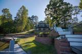320 Tulip Dr - Photo 6