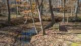 188 Fern Ridge Ln - Photo 53