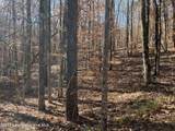 Lot 16 Fern Brook Dr - Photo 1